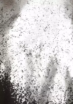 Melrose Rundhalsshirt mit Folienprint - NEUE KOLLEKTION 12 Melrose Rundhalsshirt mit Folienprint - NEUE KOLLEKTION -Melrose Verkaufsshop 4ddfac95 2f0d 5c56 b355 29ad7afa0fba